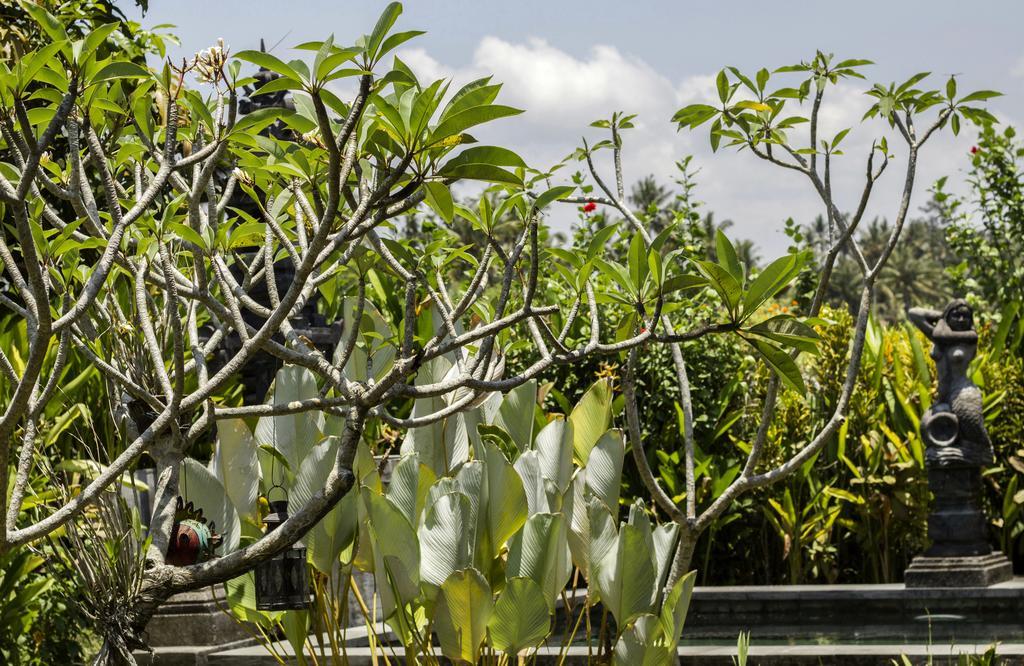 Graha Rusni Villa Ubud Kamer foto